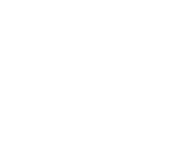 Circling Raven